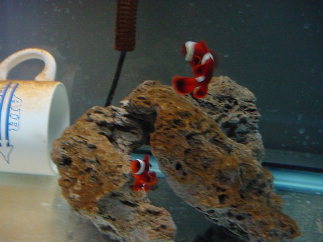 DSC04347.JPG