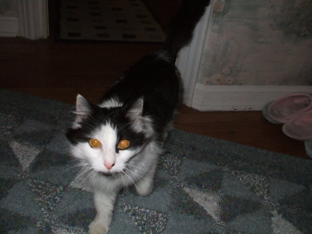 DSCF0945.JPG