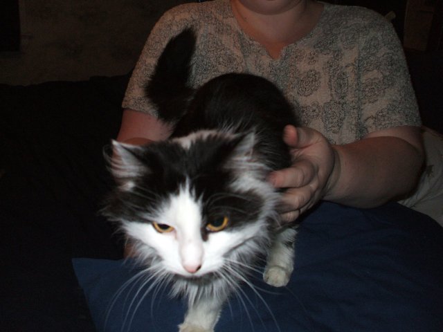 DSCF0951.JPG