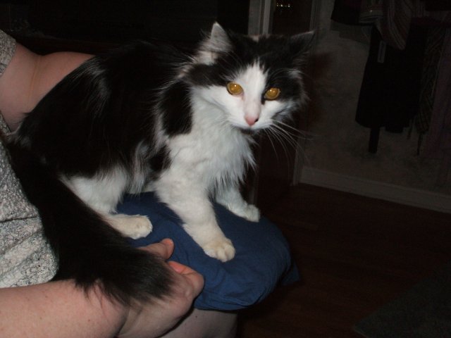 DSCF0953.JPG