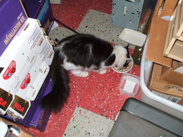 DSCF0970.JPG