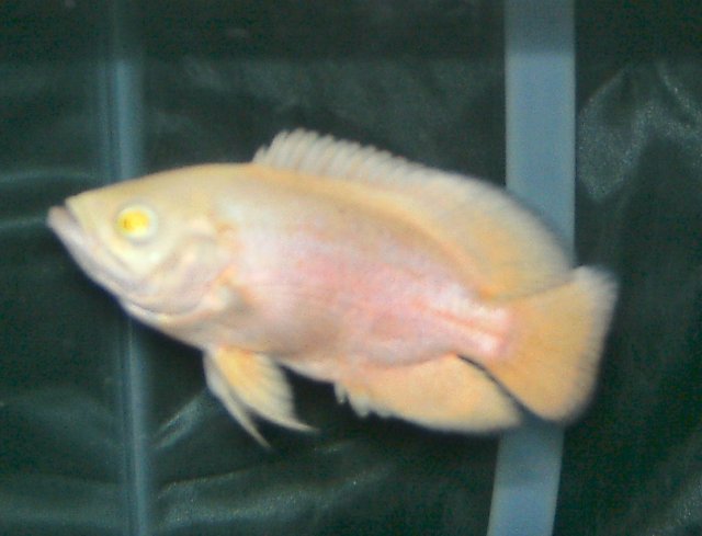PICT1297.JPG