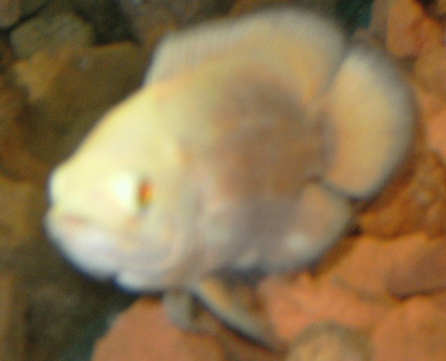 PICT1027.JPG