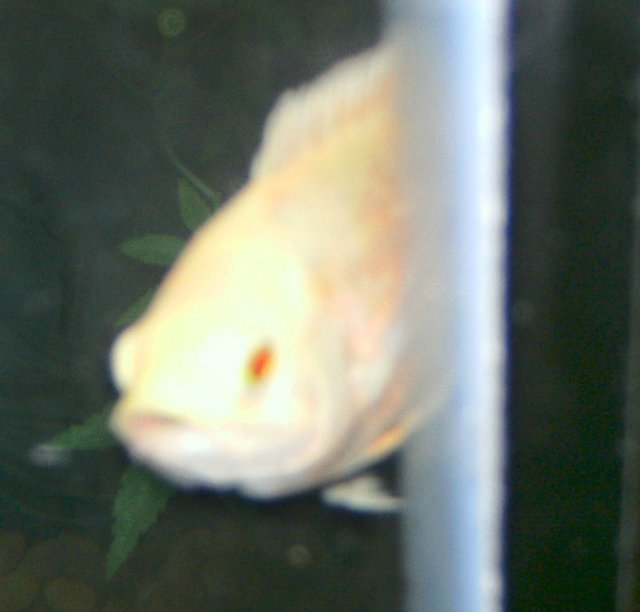 PICT1300.JPG