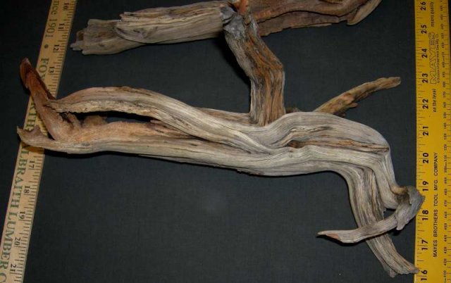 NANO STUMP PKG LFT0001.JPG