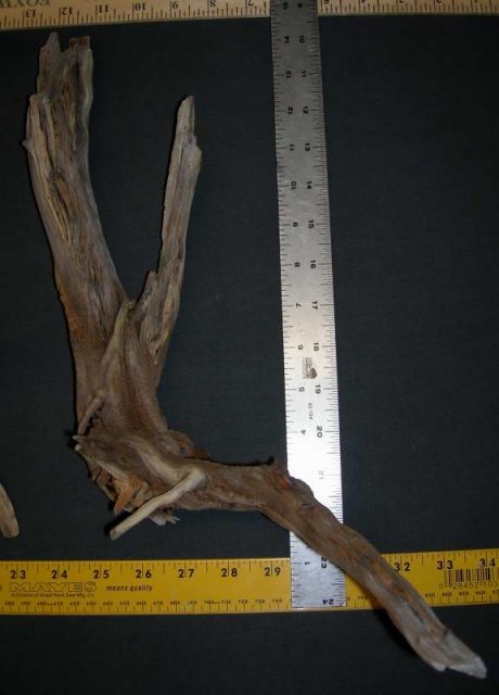 NANO STUMP PKG RHT0001.JPG