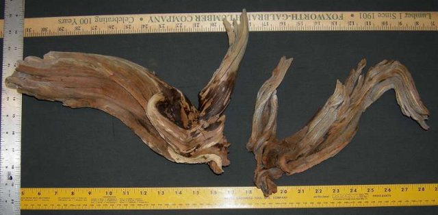 NANO STUMP 5 OVERALL0001.JPG