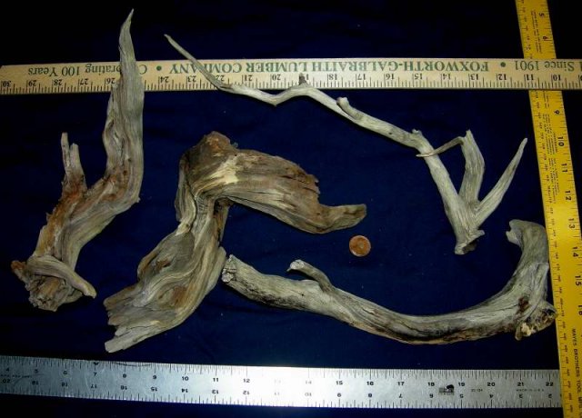NANO STUMP 5-20001.JPG