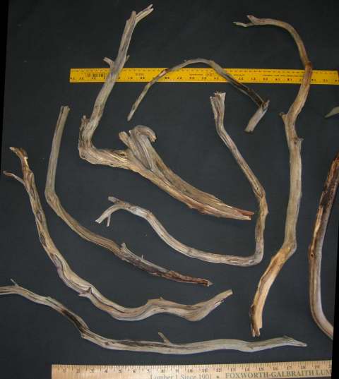 MED PKG 73 LFT0001.JPG