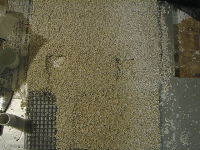 Aquaria 027.JPG