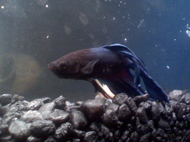 1213081635.jpg
