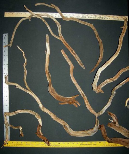 MED PKG 81 LFT0001.JPG