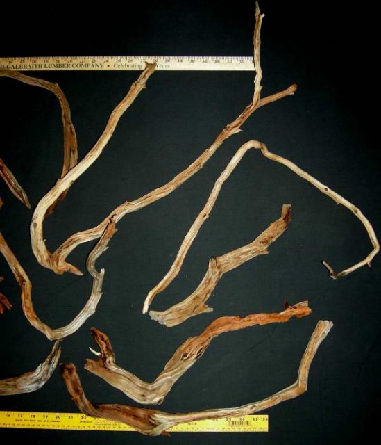 MED PKG 81 RHT0001.JPG