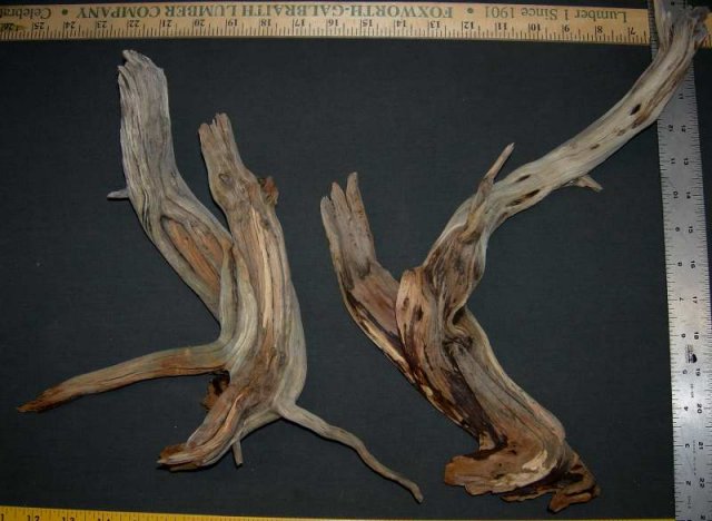NANO STUMP PKG 20001.JPG