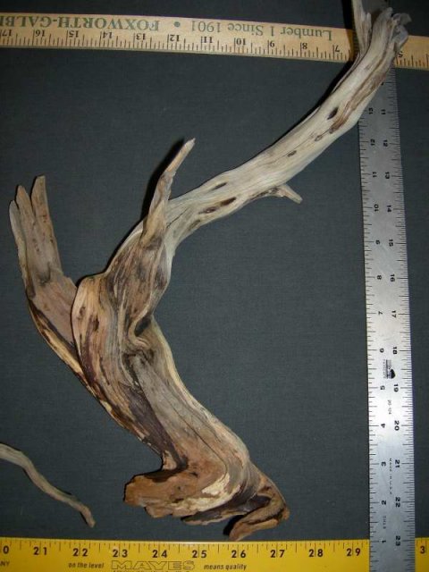 NANO STUMP PKG 2 RHT0001.JPG