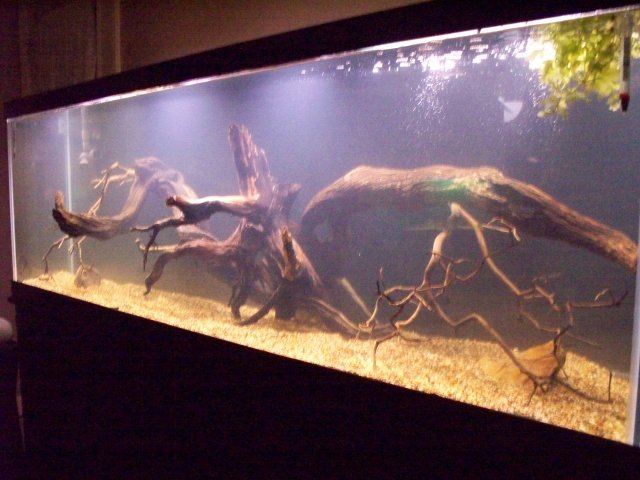 100_0488.JPG 100_0488.JPG