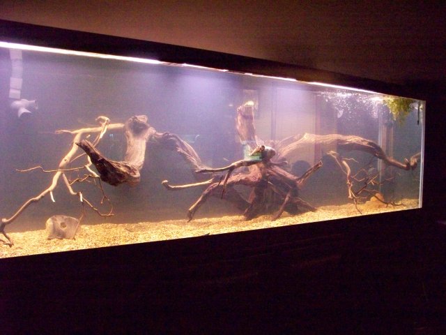 100_0487.JPG 100_0487.JPG