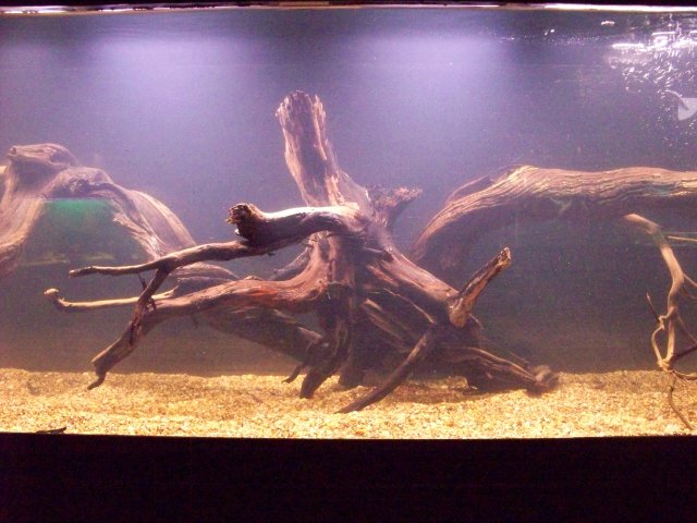 100_0491.JPG 100_0491.JPG