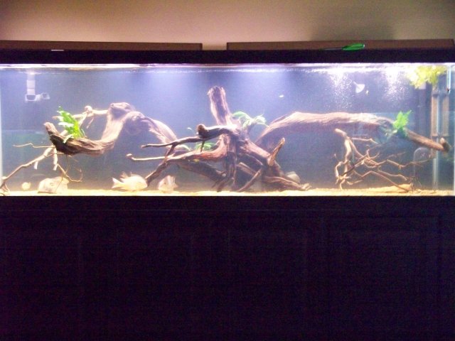 100_0501.JPG 100_0501.JPG