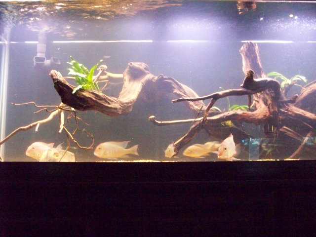 100_0502.JPG 100_0502.JPG