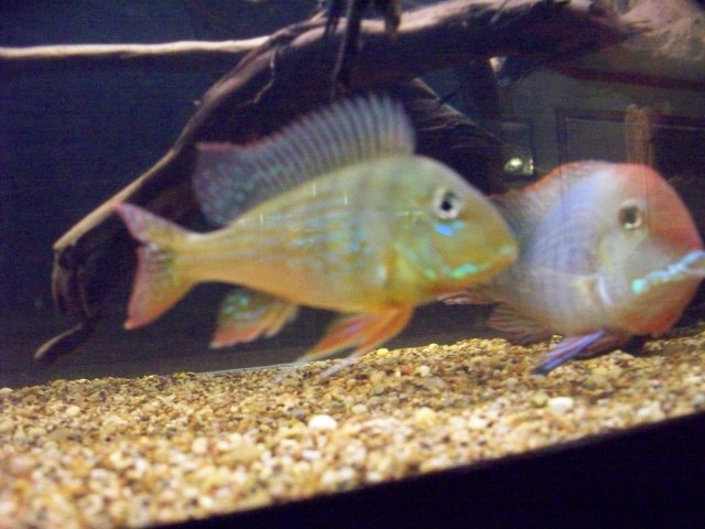 100_0522.JPG 100_0522.JPG