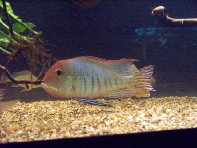 100_0519.JPG 100_0519.JPG