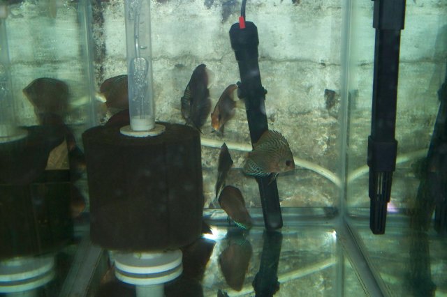 100_1586.JPG
