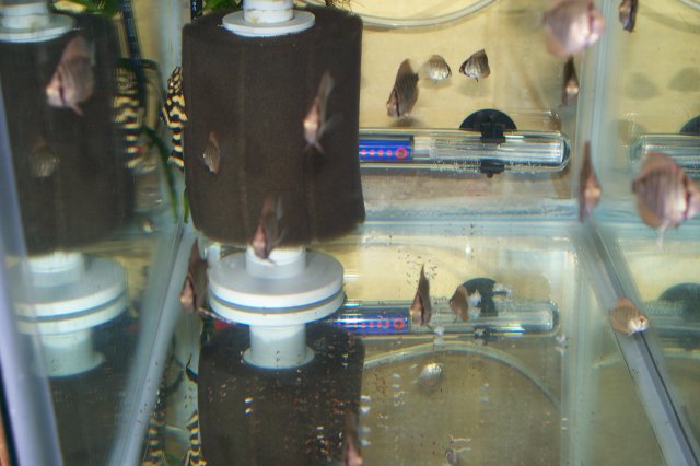 100_1591.JPG