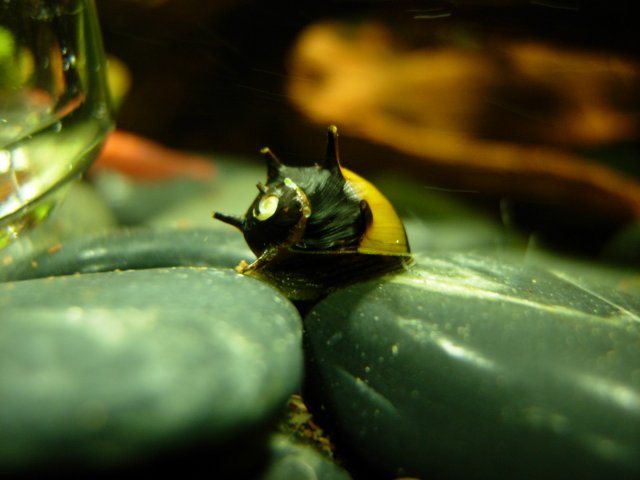 DSCN1294.JPG