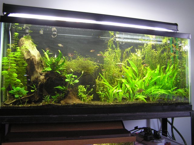 PB170364.JPG PB170364.JPG