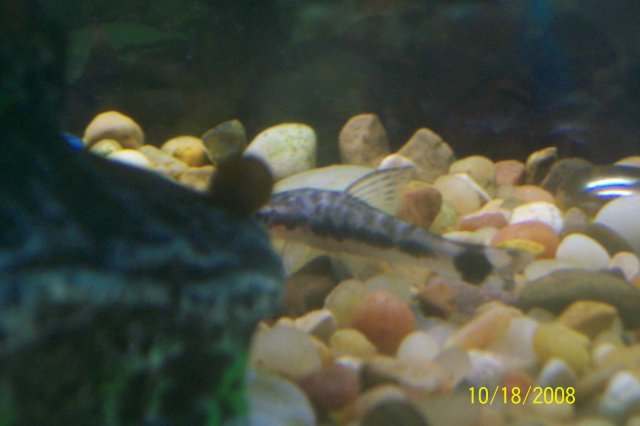 100_0796.JPG