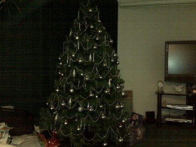tree1.jpg