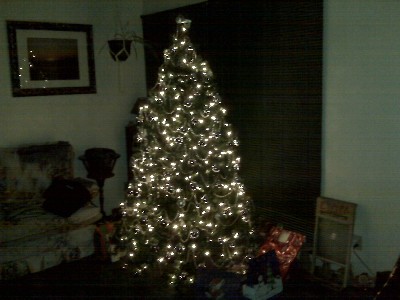 tree.jpg