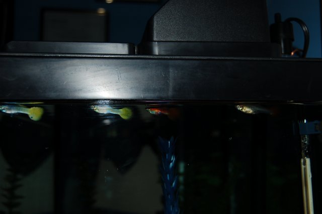 DSC_0373.JPG