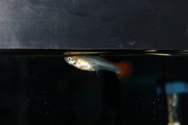 DSC_0375.JPG