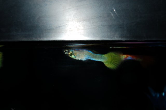 DSC_0377.JPG