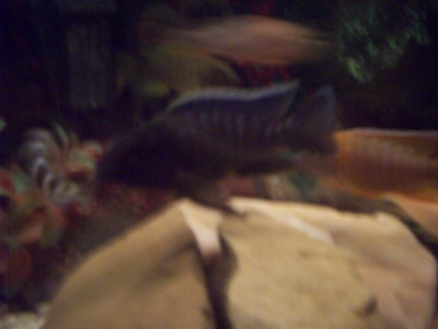 100_1007.JPG