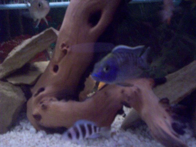 100_1094.JPG