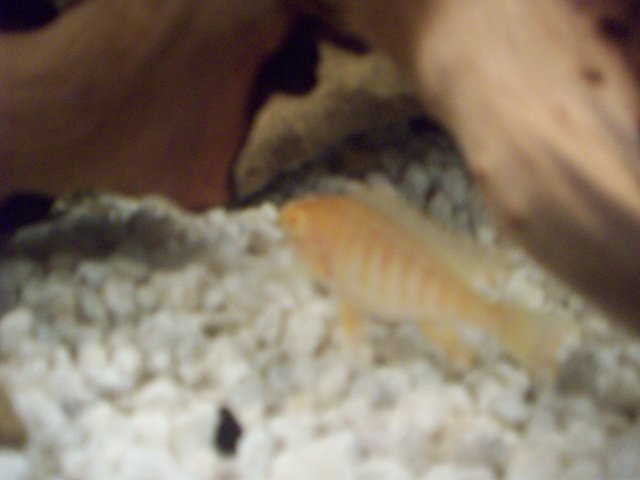 100_1025.JPG