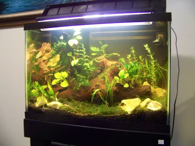 100_3352.JPG 100_3352.JPG