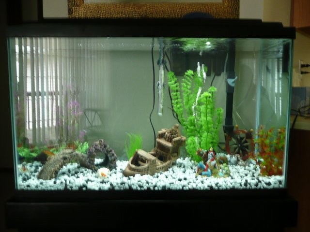 new pics 068.JPG new pics 068.JPG