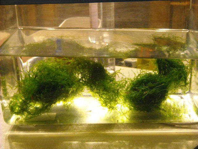 DSCN0318.JPG
