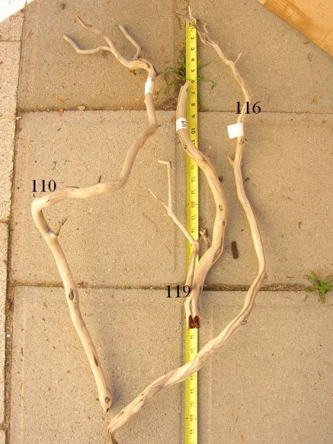 DSCN3572.JPG