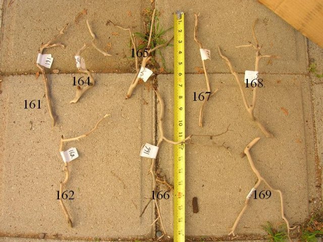 DSCN3577.JPG