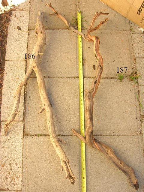 DSCN3581.JPG