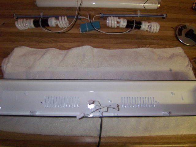 100_2908.jpg 100_2908.jpg