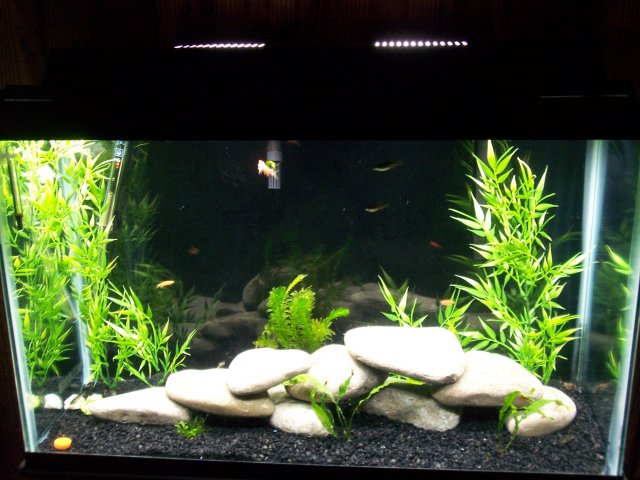 100_2956.jpg