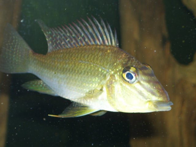 family photos 1085.jpg