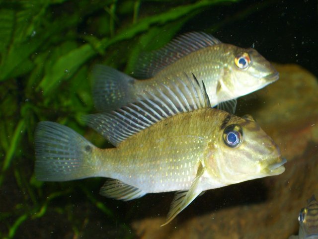 family photos 1087.jpg