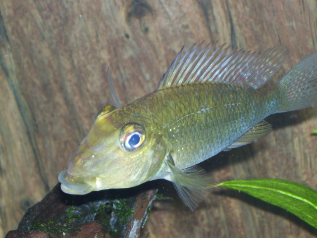 family photos 1061.jpg